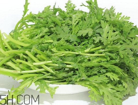 皇帝菜與什么煲湯好吃？皇帝菜性寒嗎