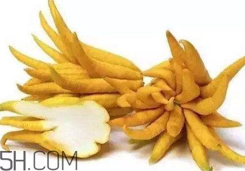 佛手柑是佛手瓜嗎？佛手柑和佛手瓜的區(qū)別