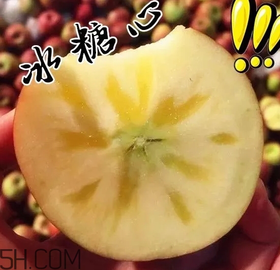 冰糖心蘋果什么時候采摘？冰糖心蘋果什么時候上市