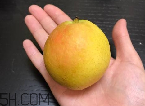 南果梨是寒性水果嗎？南果梨是涼性還是熱性