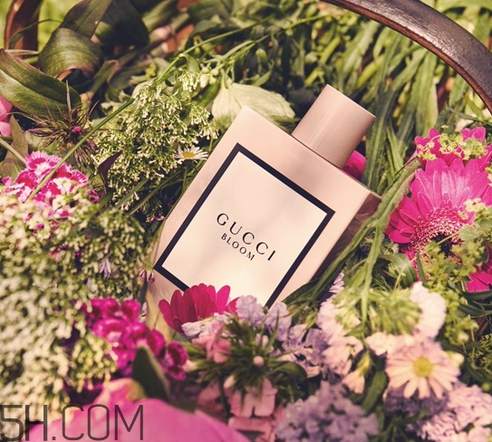 gucci bloom香水多少錢？gucci bloom香水專柜價格