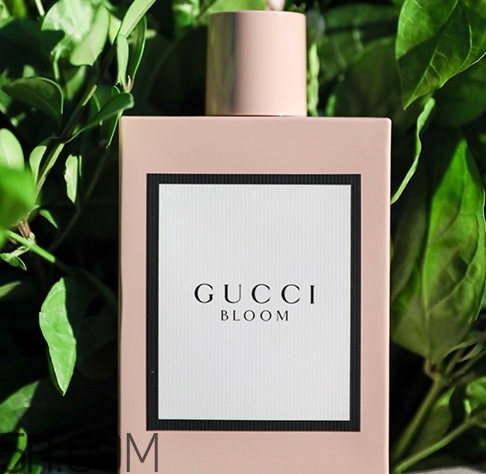 gucci bloom香水多少錢？gucci bloom香水專柜價格