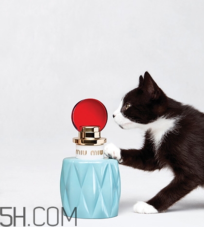 miumiu香水什么檔次？miumiu繆繆香水是哪國的