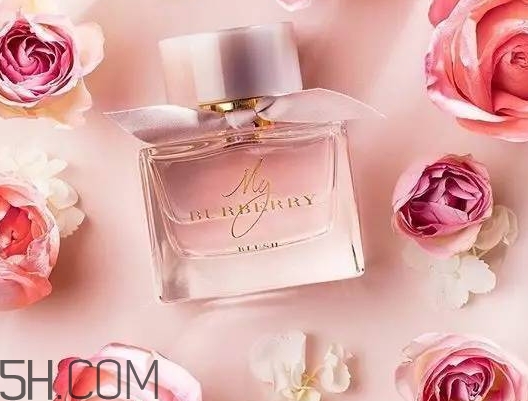 my burberry blush香水怎么樣？my burberry blush好聞嗎？