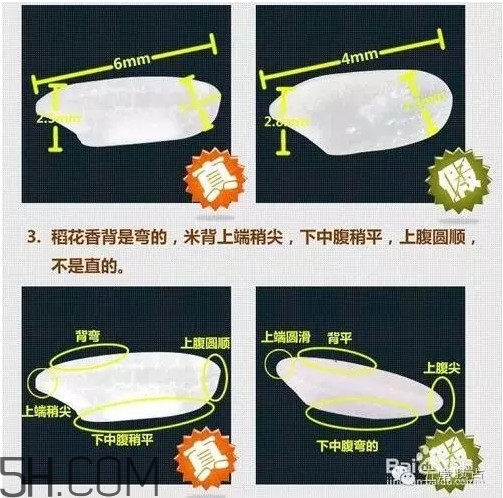五常大米怎么辨別真假？五常大米和普通米的區(qū)別