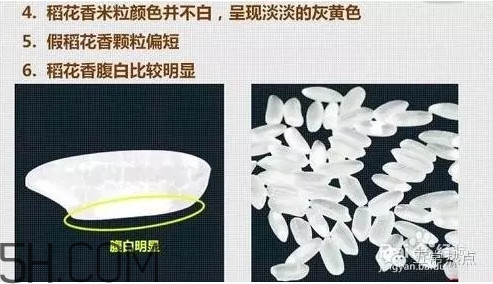 五常大米怎么辨別真假？五常大米和普通米的區(qū)別