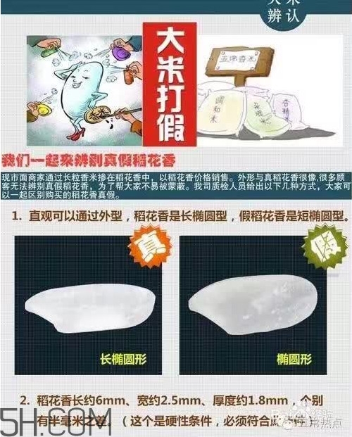 五常大米怎么辨別真假？五常大米和普通米的區(qū)別