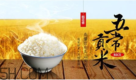 五常大米什么時(shí)候種植？五常大米是什么品種
