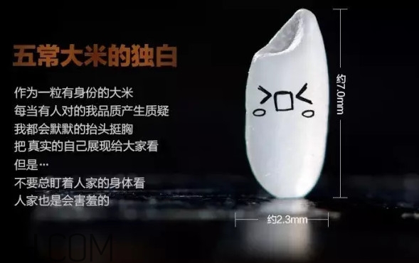 五常大米為什么那么貴？五常大米比一般大米味道好在哪兒