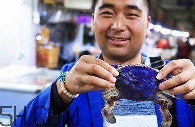 藍色梭子蟹可以吃嗎？梭子蟹蟹腿變藍可以吃嗎