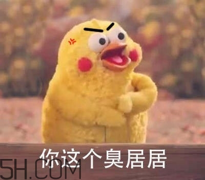 你個臭居居什么意思？你個臭居居表情包