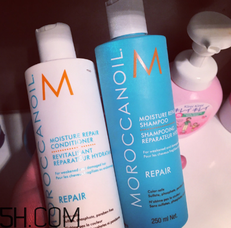 moroccanoil摩洛哥油洗發(fā)水怎么樣？摩洛哥油洗發(fā)水適合發(fā)質(zhì)
