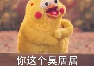 你個臭居居什么意思？你個臭居居表情包