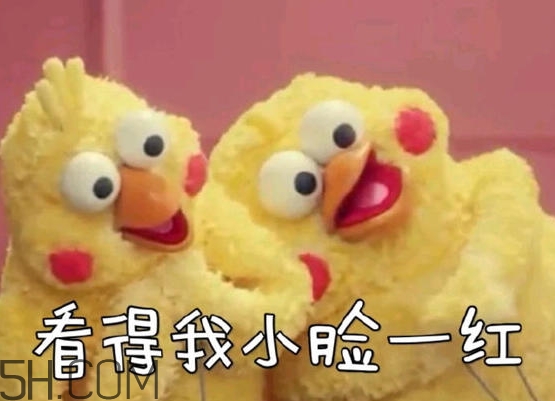 你們都是臭襪子什么意思？你們都是臭襪子表情包