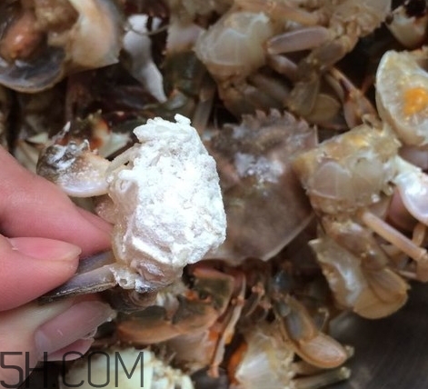 花蓋蟹和梭子蟹哪個好吃？花蓋蟹和梭子蟹區(qū)別