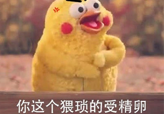 你這個猥瑣的受精卵是什么意思？你這個猥瑣的受精卵表情包