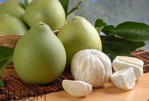 文旦怎么保存？文旦是哪個(gè)地方的特產(chǎn)