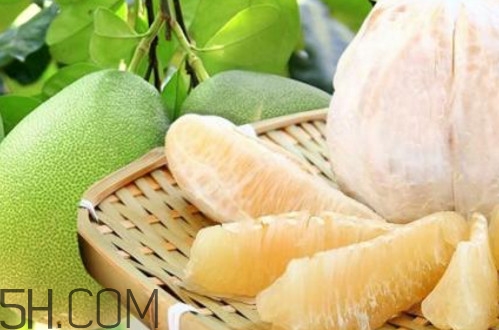 文旦柚多少錢一斤？文旦柚是寒性食物嗎