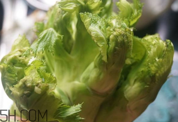 兒菜為什么叫兒菜？兒菜什么季節(jié)吃的