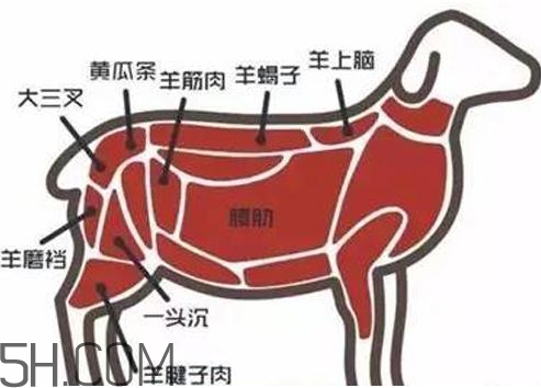 涮羊肉哪個部位最好吃？涮羊肉都有什么菜？