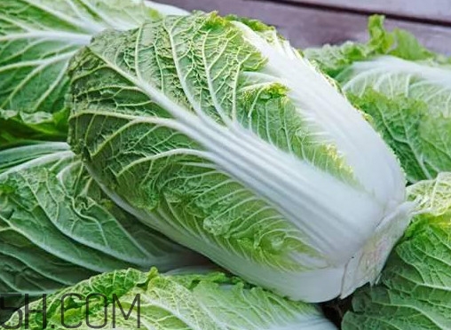 大白菜什么時候種最合適？大白菜怎么做好吃