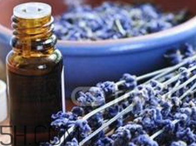 如何用精油護(hù)發(fā)？薰衣草精油護(hù)發(fā)怎么用？