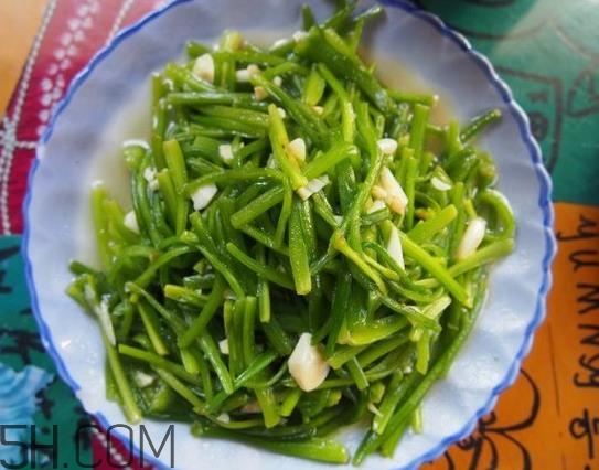 麗江水性楊花是什么菜？水性楊花菜怎么做？