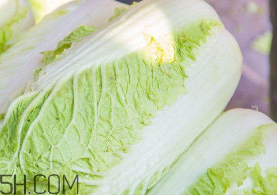 大白菜可以生吃嗎？大白菜可以隔夜吃嗎