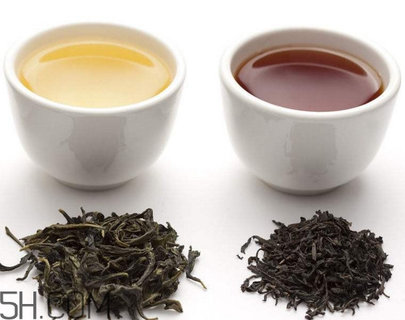 烏龍茶是什么茶？烏龍茶是紅茶還是綠茶