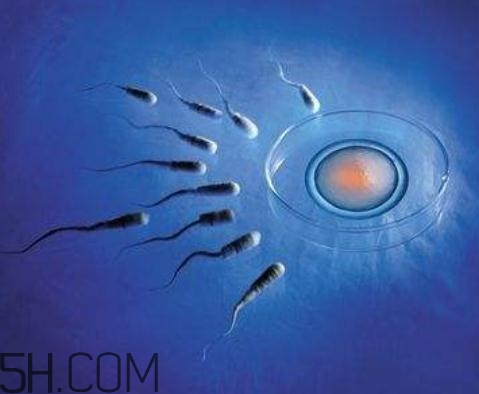 弱精癥能做試管嬰兒?jiǎn)?？弱精癥可以人工受精嗎？