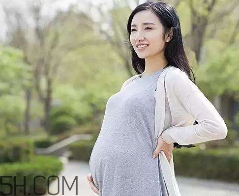 懷孕了可以吃可樂雞翅嗎？可樂雞翅什么人不能吃