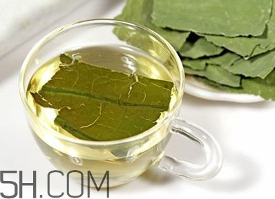 荷葉茶大概哪里有賣？荷葉茶副作用有哪些