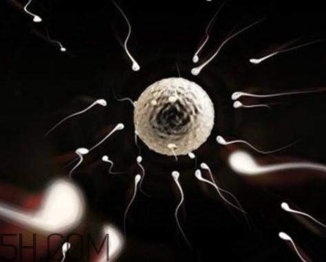 少精癥能自然懷孕嗎？少精癥多久能治好？