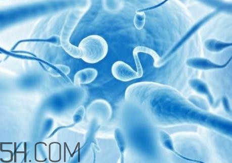 精子不液化是什么原因造成的？精子不液化吃什么藥好？