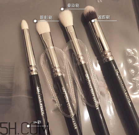 zoeva化妝刷哪里有賣？化妝刷的毛質分類