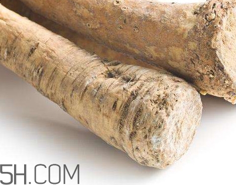 芥末是辣根嗎？辣根和芥末的區(qū)別