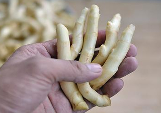 姜芽能吃嗎？姜芽怎么吃
