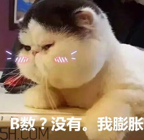 b數(shù)沒(méi)有我膨脹什么意思？b數(shù)沒(méi)有我膨脹表情包