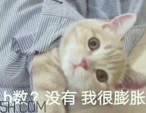b數(shù)沒(méi)有我膨脹什么意思？b數(shù)沒(méi)有我膨脹表情包