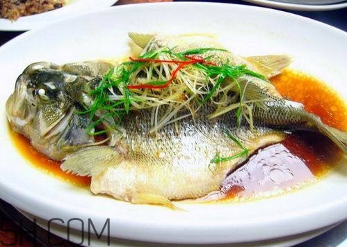 松江鱸魚怎么做？松江鱸魚養(yǎng)殖技術(shù)