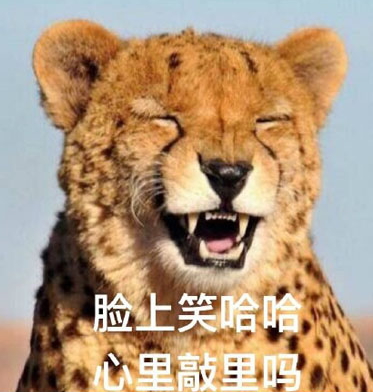敲里lailai是什么意思？敲里lailai表情包無(wú)水印