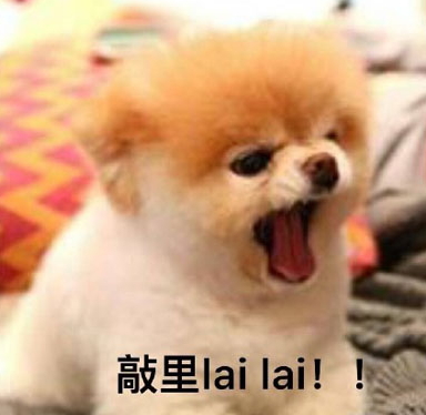 敲里lailai是什么意思？敲里lailai表情包無(wú)水印