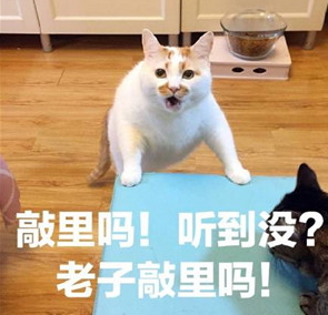 敲里lailai是什么意思？敲里lailai表情包無(wú)水印