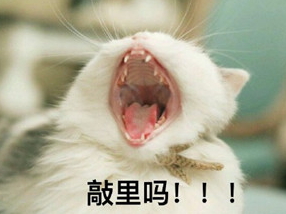 敲里lailai是什么意思？敲里lailai表情包無(wú)水印
