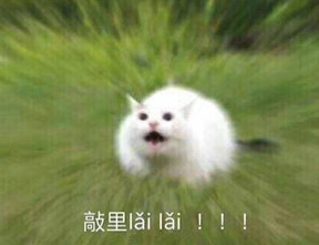 敲里lailai是什么意思？敲里lailai表情包無(wú)水印
