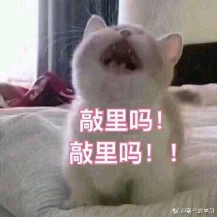 敲里lailai是什么意思？敲里lailai表情包無(wú)水印