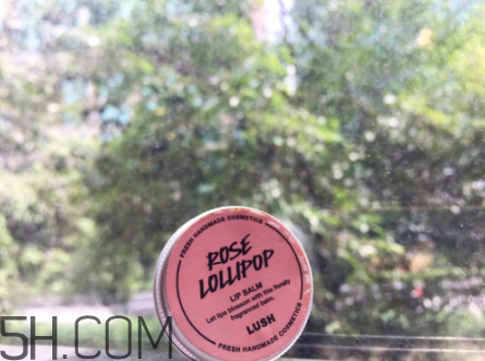 lush潤(rùn)唇膏好用嗎？lush潤(rùn)唇膏多少錢？