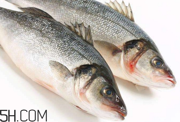 鱸魚(yú)不能和什么一起吃？鱸魚(yú)可以和雞蛋一起吃嗎