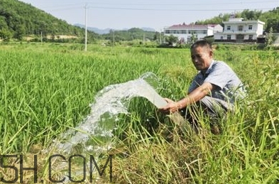 女生說抽水什么意思？女生發(fā)消息想抽水什么意思？
