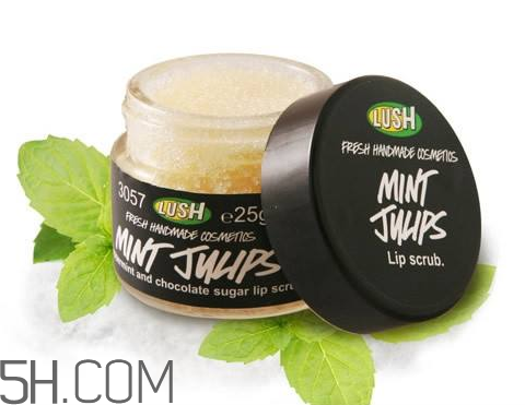 lush唇部磨砂膏好用嗎？lush唇部磨砂膏多少錢？